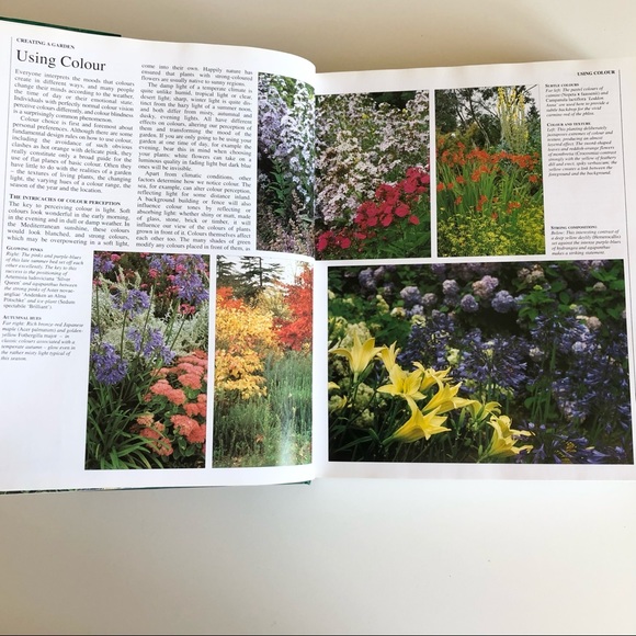 New Encyclopedia of Plants and Flowers The Royal Horticultural Society Book - Picture 5 of 13